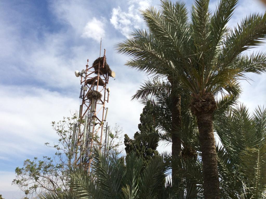 Chems Hotel Marrakesh Eksteriør billede